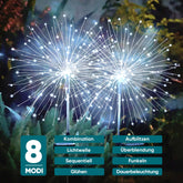 Salcar set of 2 LED solar garden lights with firework effect